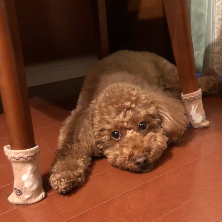 E7002e82 2f68 4122 8ba9 40eef4508991 1517143520331