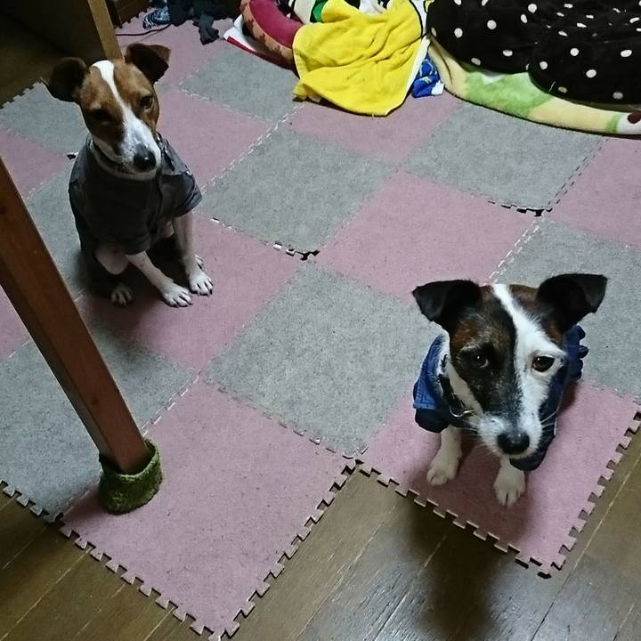 E700561a e097 4216 9dd1 01393a20fb4c 1539520720554