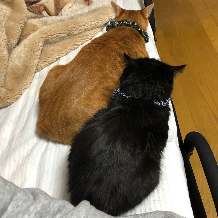 E7007e06 d4c6 4b12 a3d8 42494ee3fb15 1580811078380