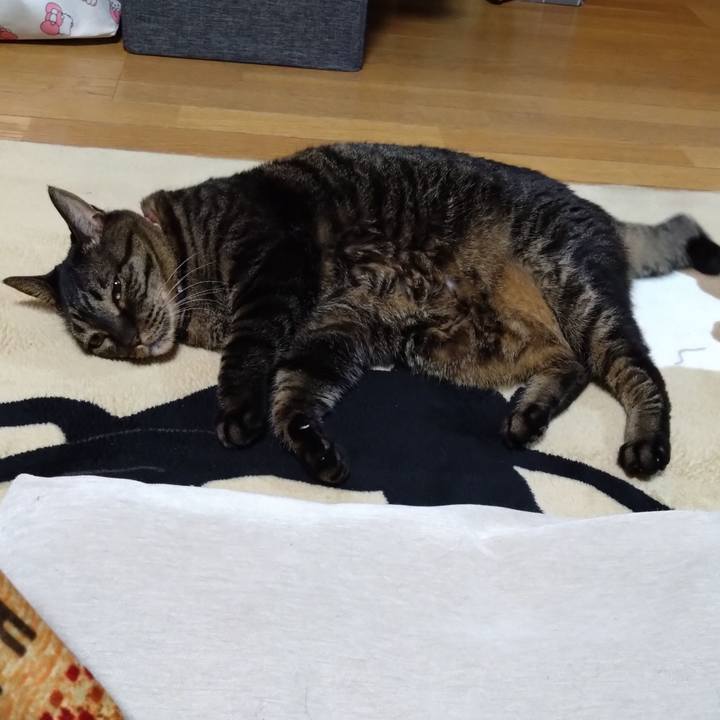 E7008b04 6bee 4a57 8bac ed8263f7eed9 1771364183020