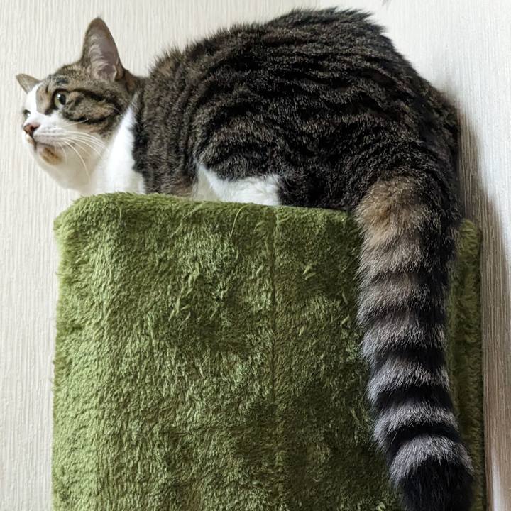 E700a97b 197f 4c2c 968c 027ba5aac982 1689584508413