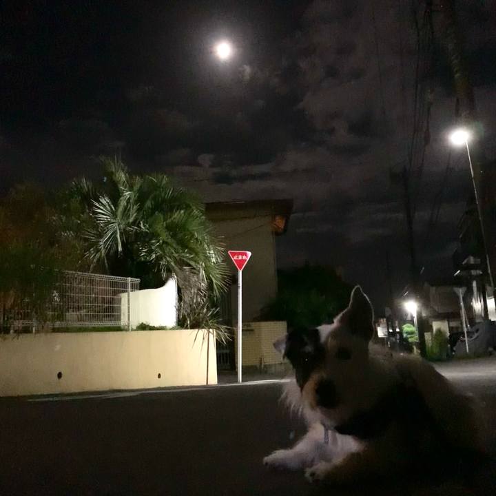 E700b18d fec4 4e1c b774 e9206cef23d7 1726317344352