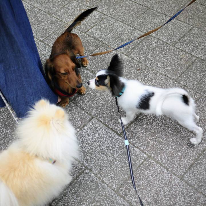 E700e786 a20e 4a54 bb49 112cd4219b57 1600499685711