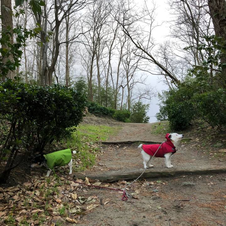 E700ed1e 4d86 41f7 add1 35544a9f2d67 1547167079839