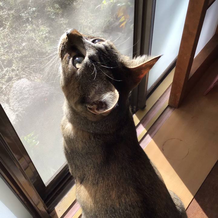 E7011f6a 913a 4e64 bfb0 4712d24ec52d 1583882010815