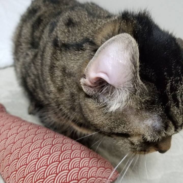 E70139f5 2e97 4a05 8de0 cccd43108866 1607463700878