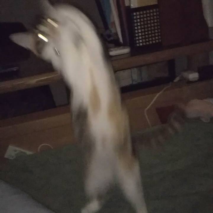 E70141d5 52f1 42cb 987e 5d69374c6b15 1629584732020