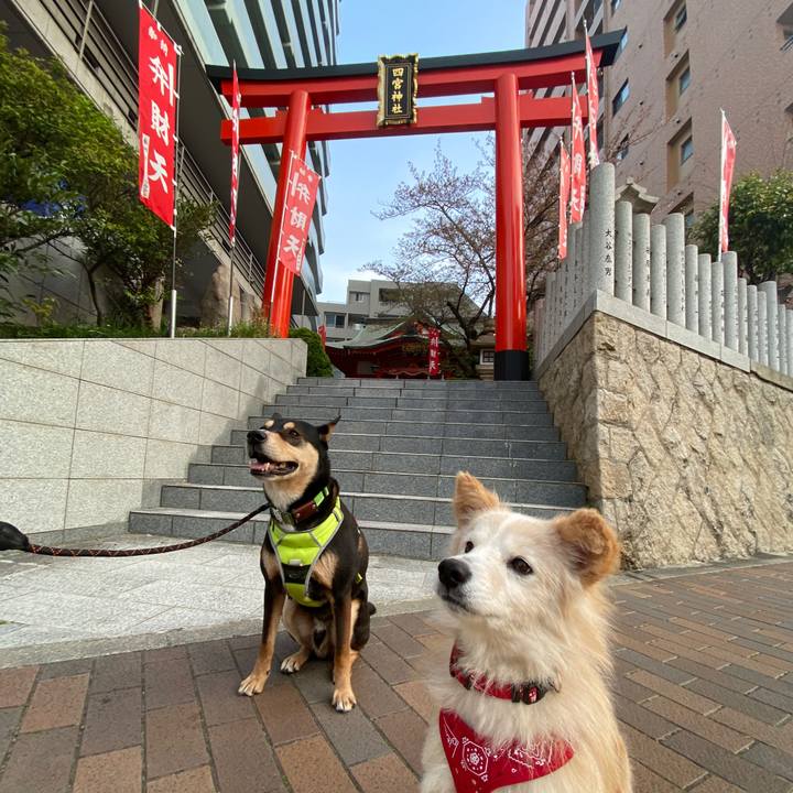 E701451d 2788 451e a06d 4b0f88436197 1649545725913