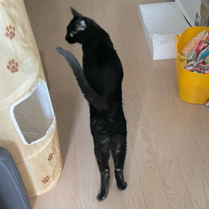 E7019fad 7be7 4468 8c6a 0ca56a0a381d 1643631322161