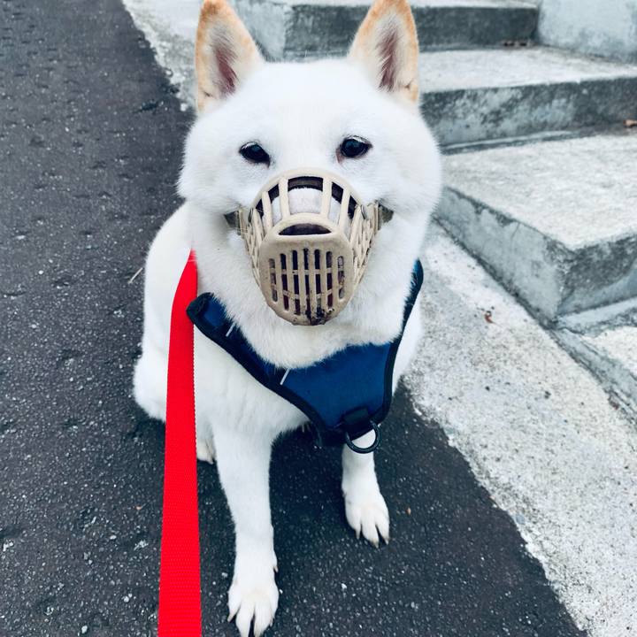 E701a319 3e50 433a 8a19 248fb27863b9 1631915168241