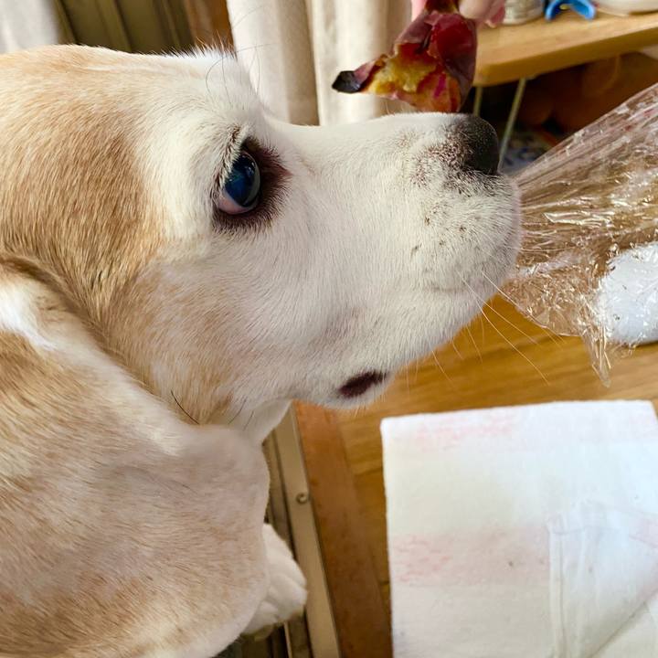 E701b165 13af 4a26 ac1b 86ddd3a0e2cb 1639887494461