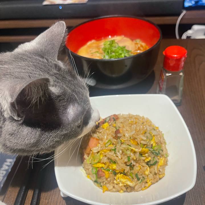 E701c14b 27b7 4261 876a 2297ea77d732 1711450172556