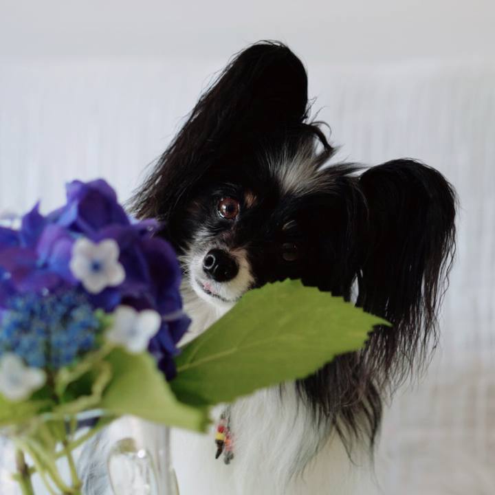 E701c32f 918e 4e9f a7fe 68f27703a53f 1686722483969