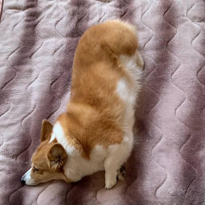 E701c743 4d3c 4450 beb7 850d965067dc 1614578129925