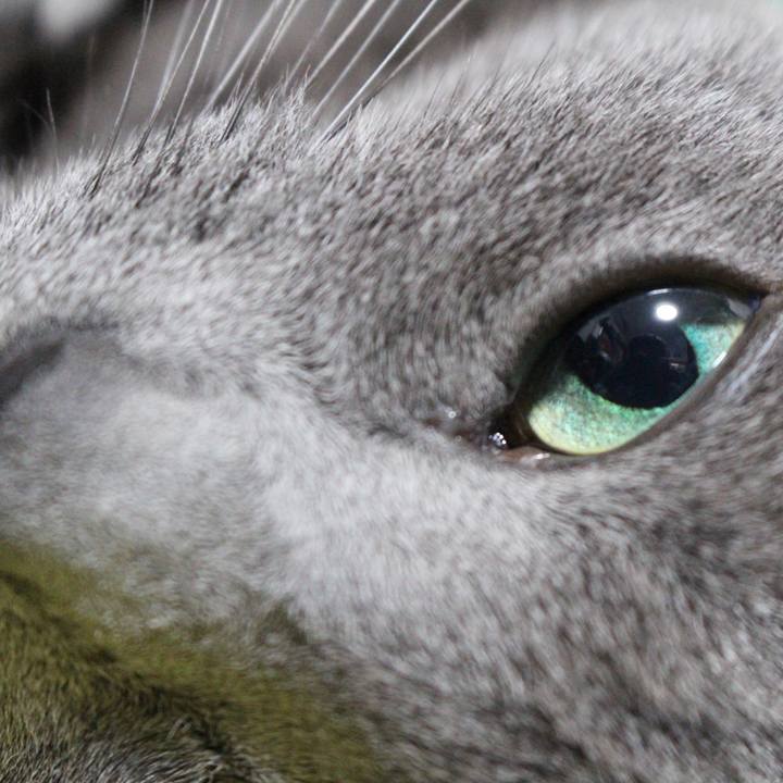 E70245da f198 4c11 908f cf1e58244d9e 1556291652804