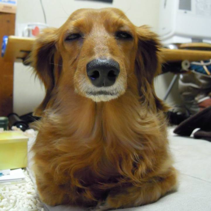 E70263e3 8888 4395 b2af 73cd050815e8 1543770441822