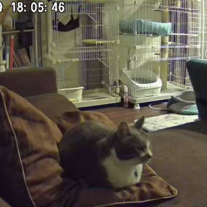 E70287f2 b423 4303 9cc5 229d1154a4b2 1642586196856