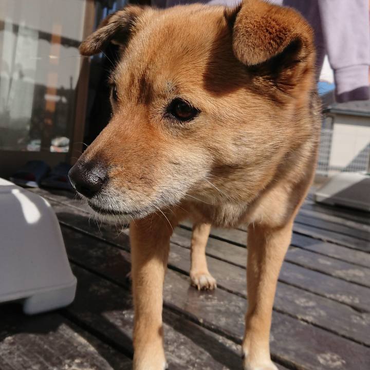 E7029fc7 efab 4321 a231 cf9fd867a090 1612516549958