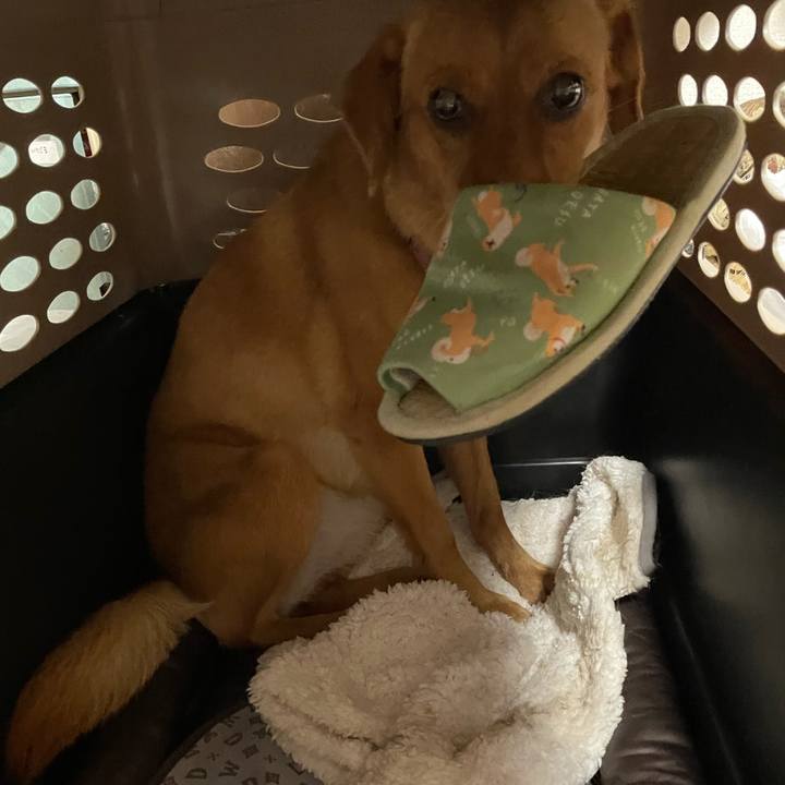 E702bc31 e3eb 4aa8 ab01 06416e57451f 1626883087501