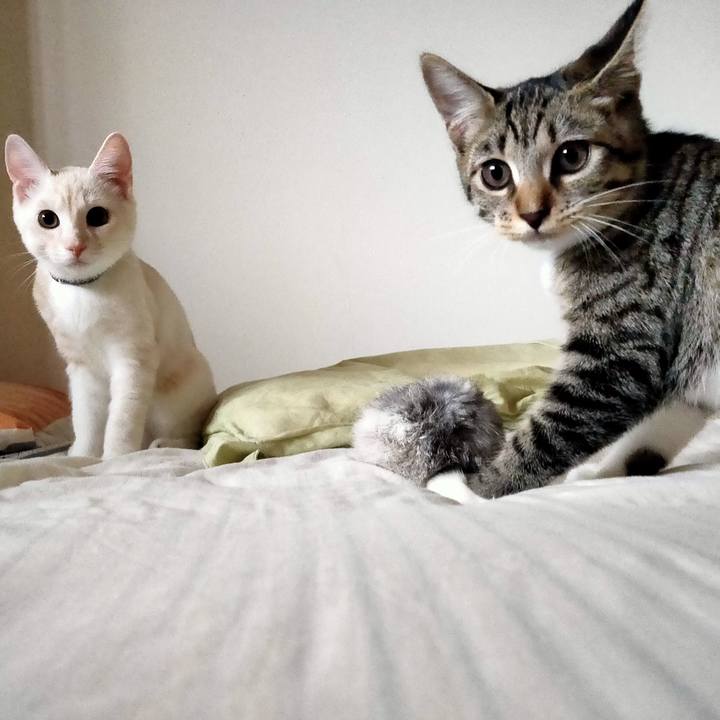 E703735e df7b 4624 b661 b451164f3783 1630467151208