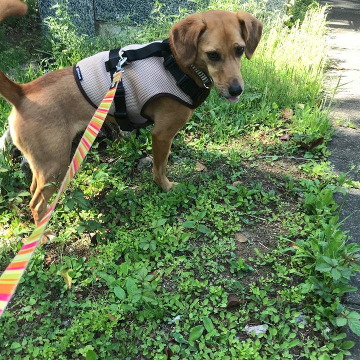 E7037e56 48d4 4767 8883 5e0ef77e1665 1524288163793