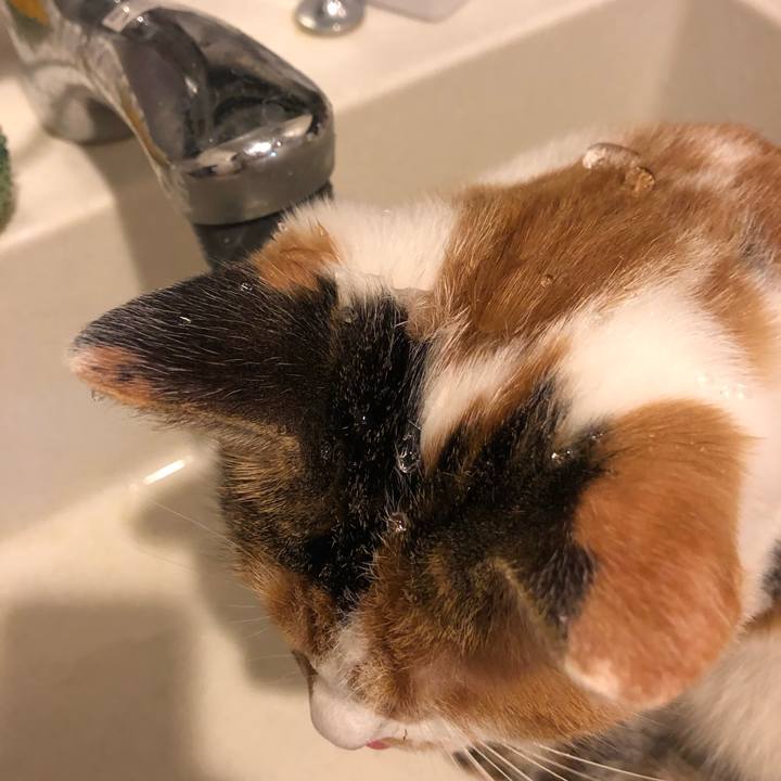 E7038468 38aa 4698 95c1 1e851d0e8e96 1605225823274