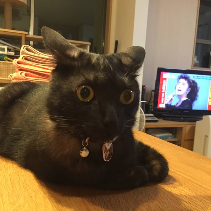 E7038a0e 2d43 4aef bd47 623176fa4978 1529409889104