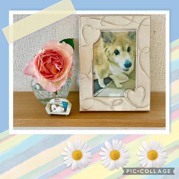 E7039374 f402 47d7 a0a0 48b0485e4dc5 1653196567370