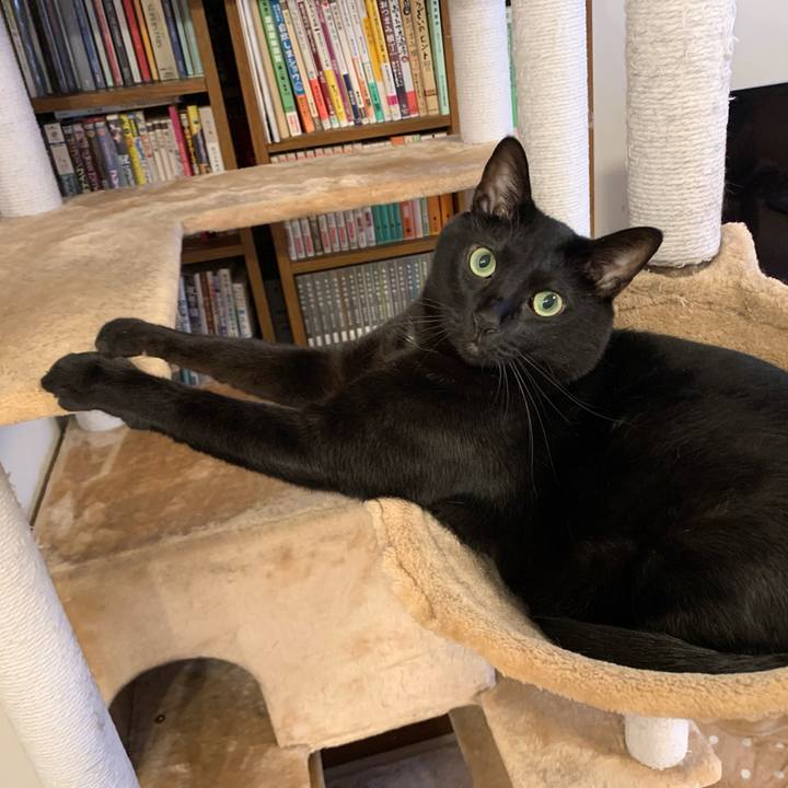 E703b2f3 8571 4e0c 931d 7f0ae5706462 1665371790979