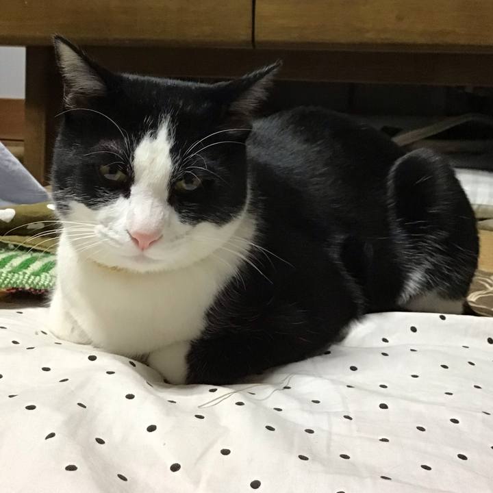 E703c977 a8ed 4fe7 8ad2 cd63deca2549 1646041347481