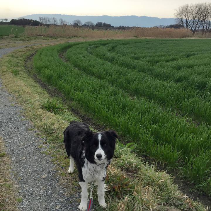 E703d223 4516 477b b1ec ce501e8c5f69 1550970671151