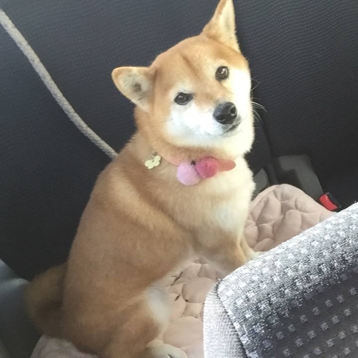 E704352c faab 4dea b526 76dad6dfb03e 1514259781507