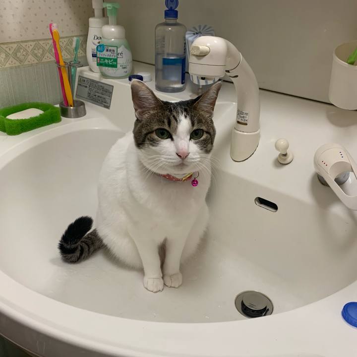 E7043e5e 7b78 4c6e 9472 c31f6e3a5756 1578741960389