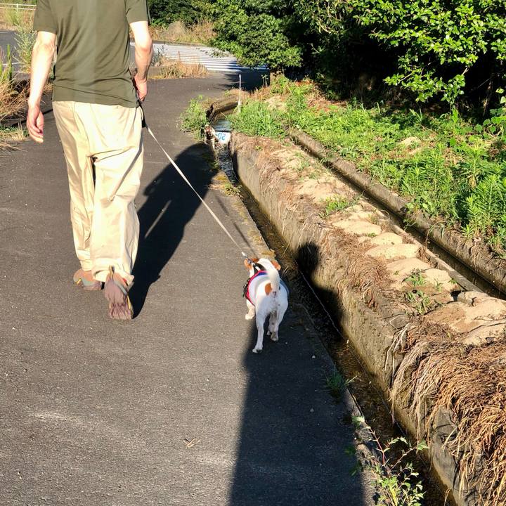 E70446b1 30b7 445a 9486 8c2827cb25fa 1752904988278