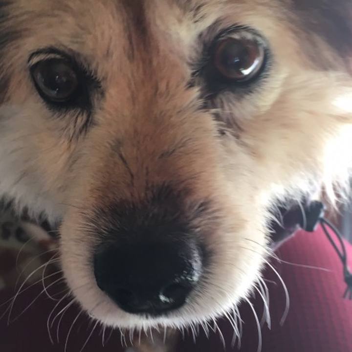 E704cc2e 2067 4674 abe8 49b540c5bd5f 1620568469881