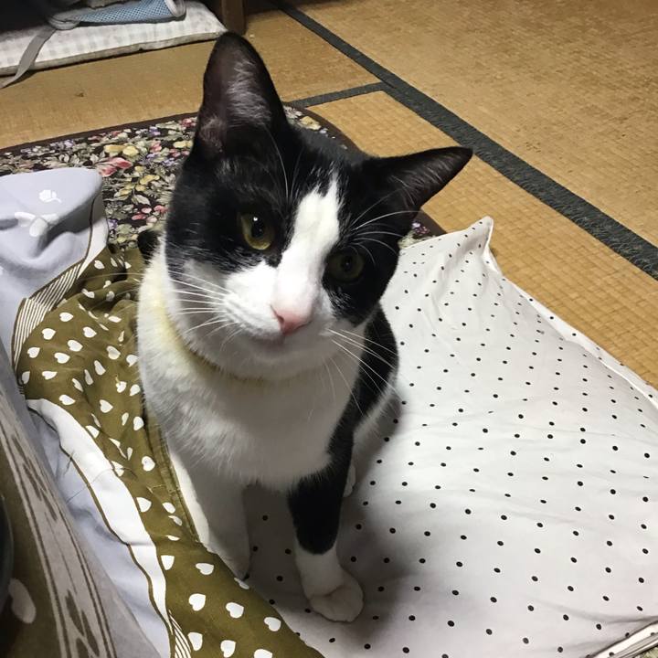 E70527cf 83ae 465d b3cb 9e906221cb67 1648716492750