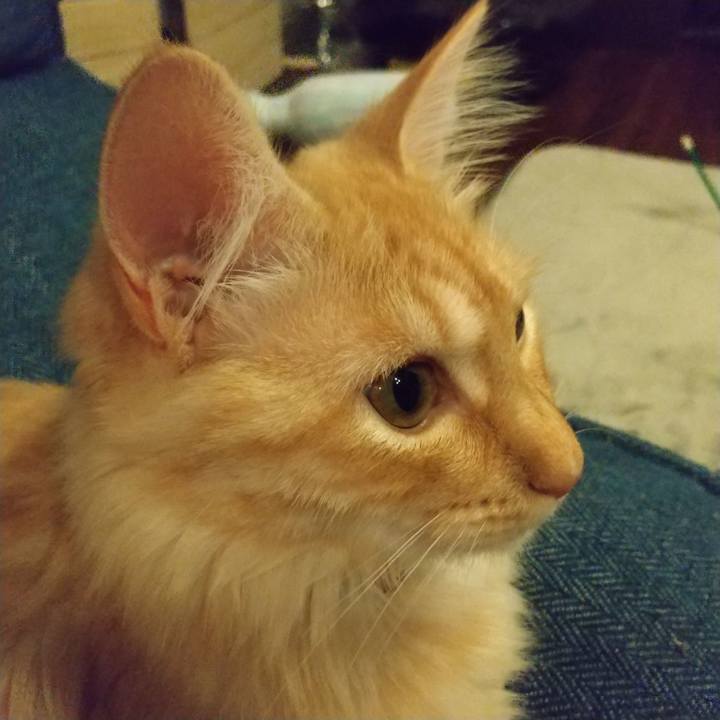 E7055f8d fb4d 4356 b5a1 e178f9d9168e 1618312140272