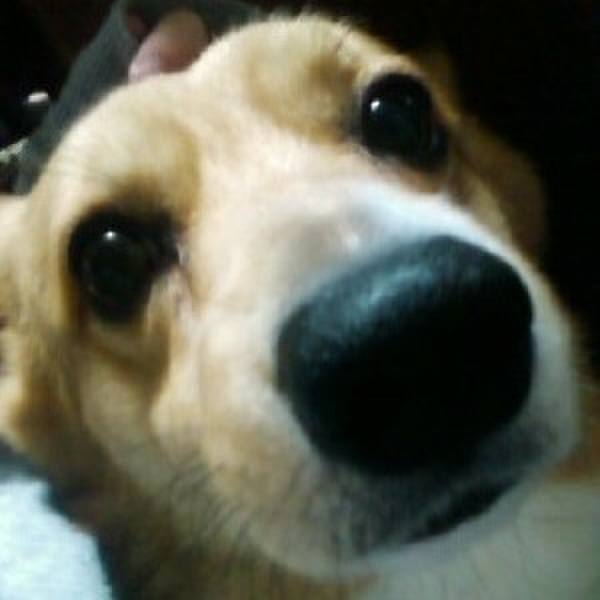 E7056c81 4c98 4c9d 81d9 026bb224d6a0 1523634732296