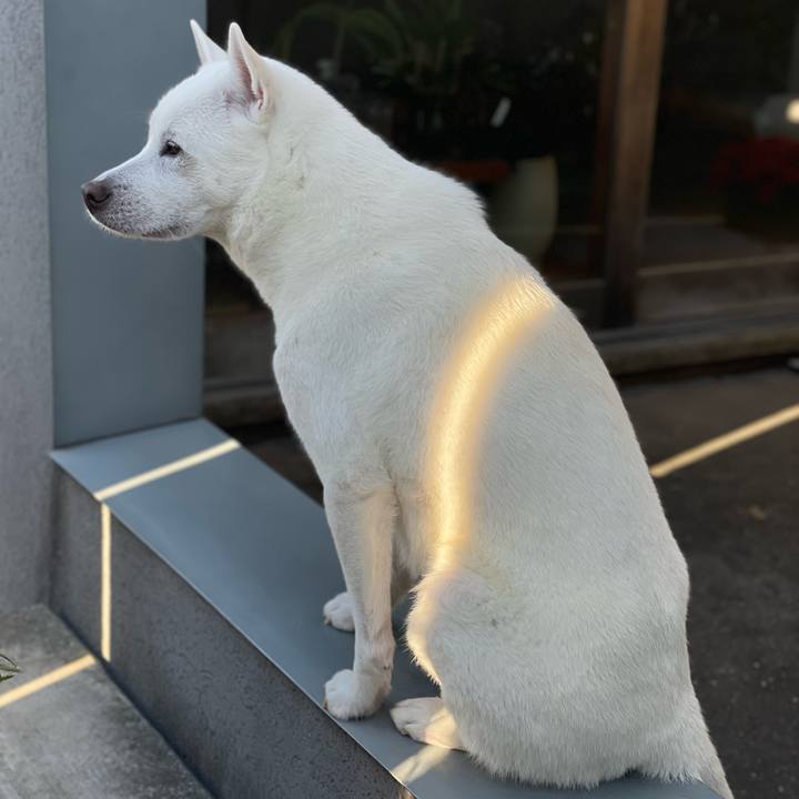 E7059b14 7884 4c72 a1c9 1b2efa1da33f 1700464460253