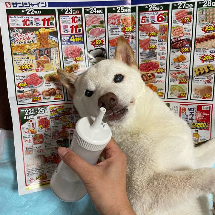 E705c43e f2f0 4b94 a60c 68440ea640e4 1666404783259