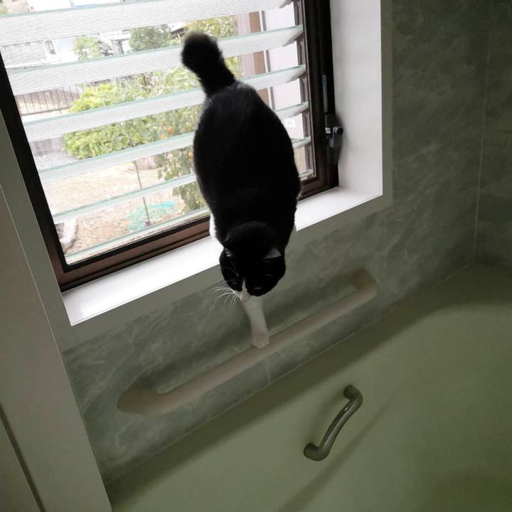 E705d92b ebcf 4679 a82d 4d657b1fe017 1629864472721