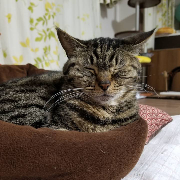 E705eb2c 4b99 4436 ae9a 0b10d6d28388 1609417645846