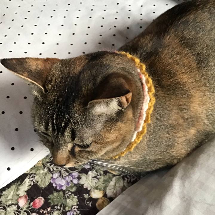 E70615e3 6f56 4812 915c 1c217841c5c2 1622501097763