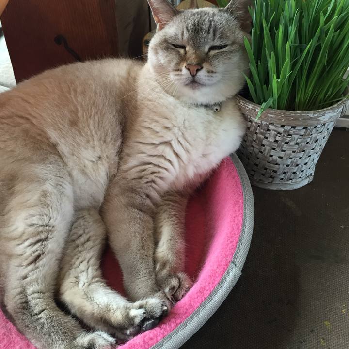 E7061dce 5292 45b5 bf9c 482ad869b648 1536022791726