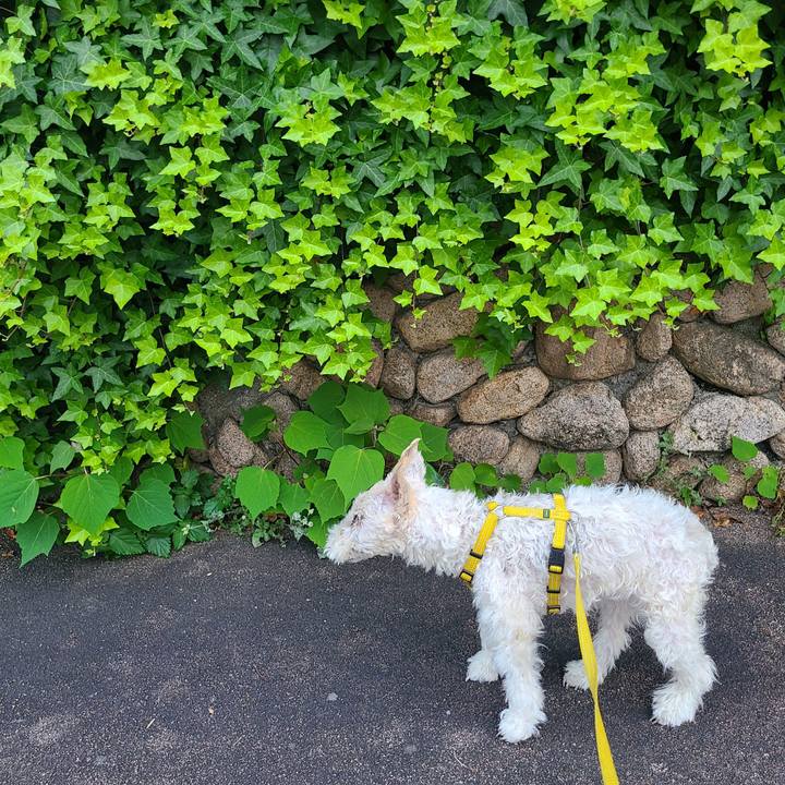 E70624db 25fe 4d44 8f3a d8e4c101cbbc 1716101280567