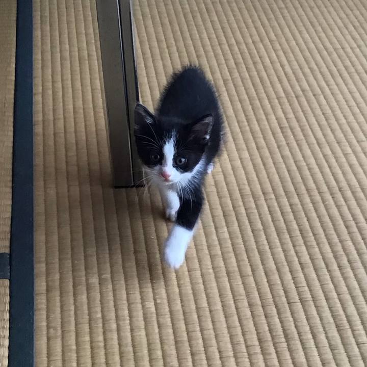 E7063c7e 025d 4369 83d4 a7d5aa5b97b7 1623135262244