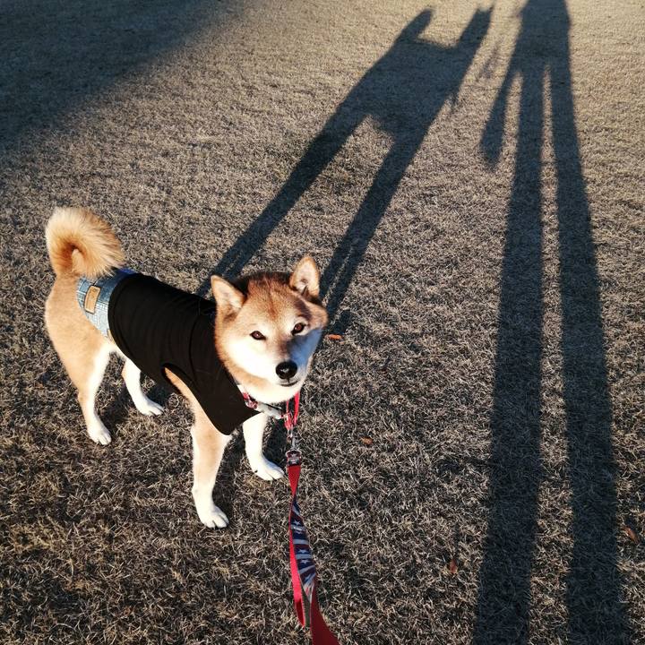 E7064736 1e24 4091 bbb9 ab94e67a62f2 1671445648429