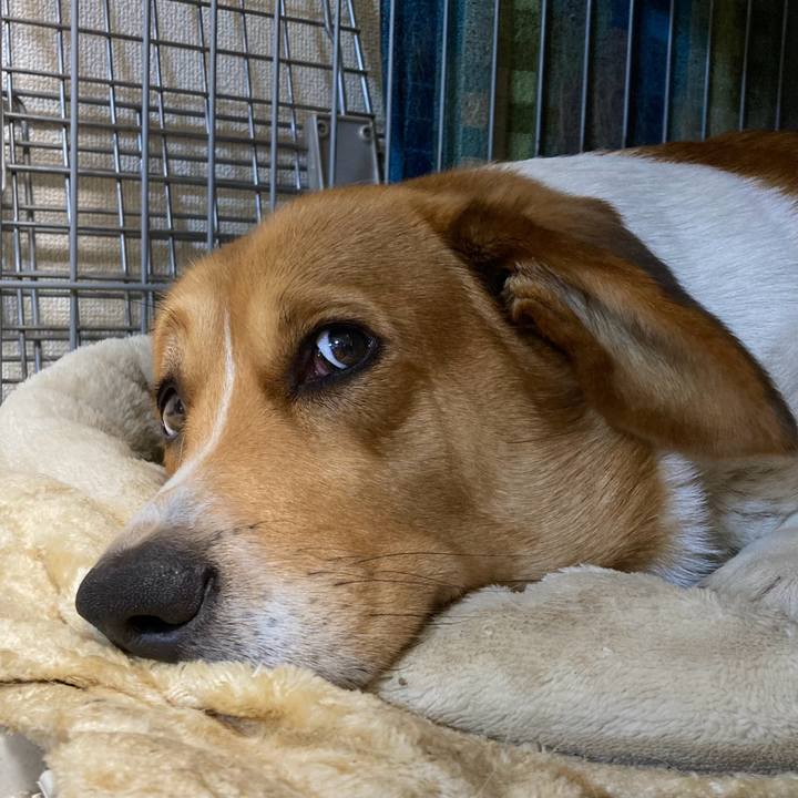 E70680c0 17d9 433c b28a 61c79864b2fb 1707266867864