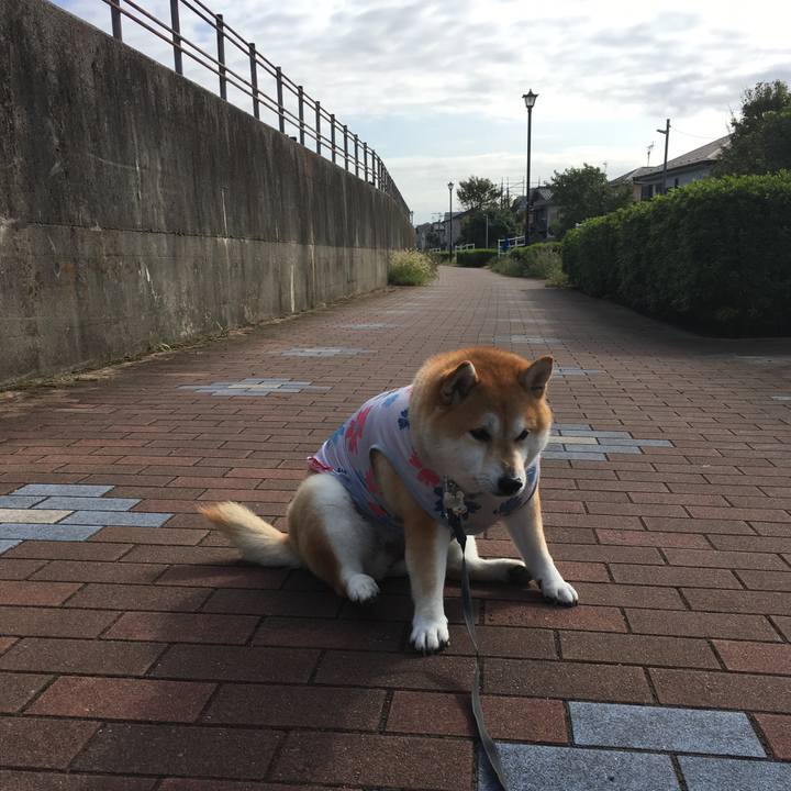 E706d880 3a38 4a9b a39e 388fc4e1222d 1569456718806