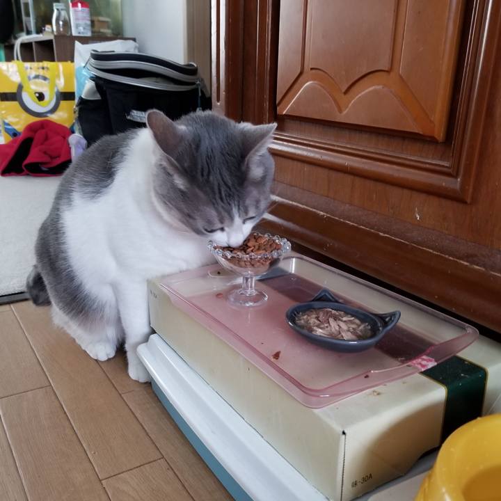 E707049b 7f5c 4451 a1ab 931f0a344122 1580651029019